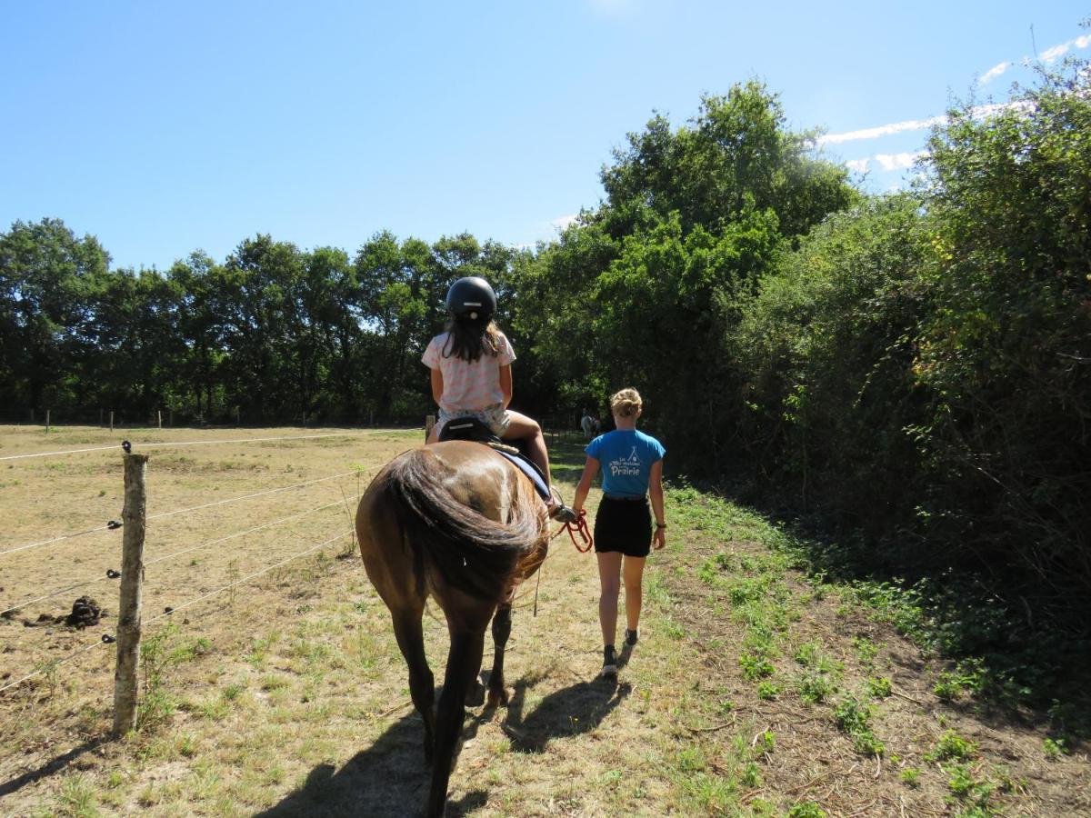 Camping Les P'Tites Maisons Dans La Prairie Sallertaine Buitenkant foto