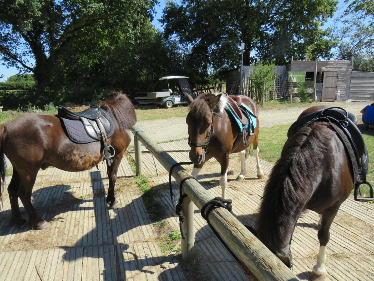 Camping Les P'Tites Maisons Dans La Prairie Sallertaine Buitenkant foto