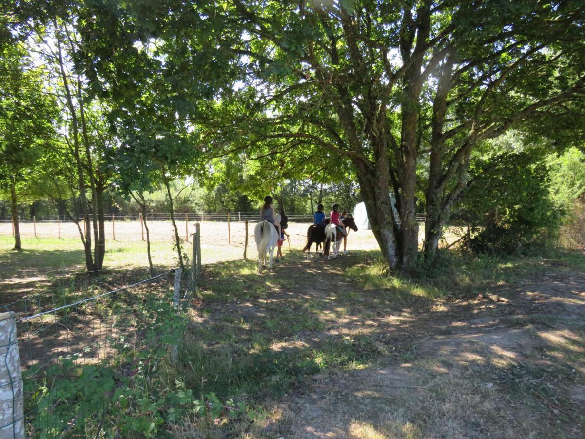 Camping Les P'Tites Maisons Dans La Prairie Sallertaine Buitenkant foto