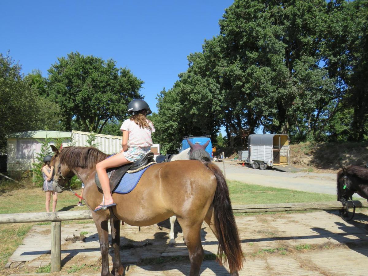 Camping Les P'Tites Maisons Dans La Prairie Sallertaine Buitenkant foto
