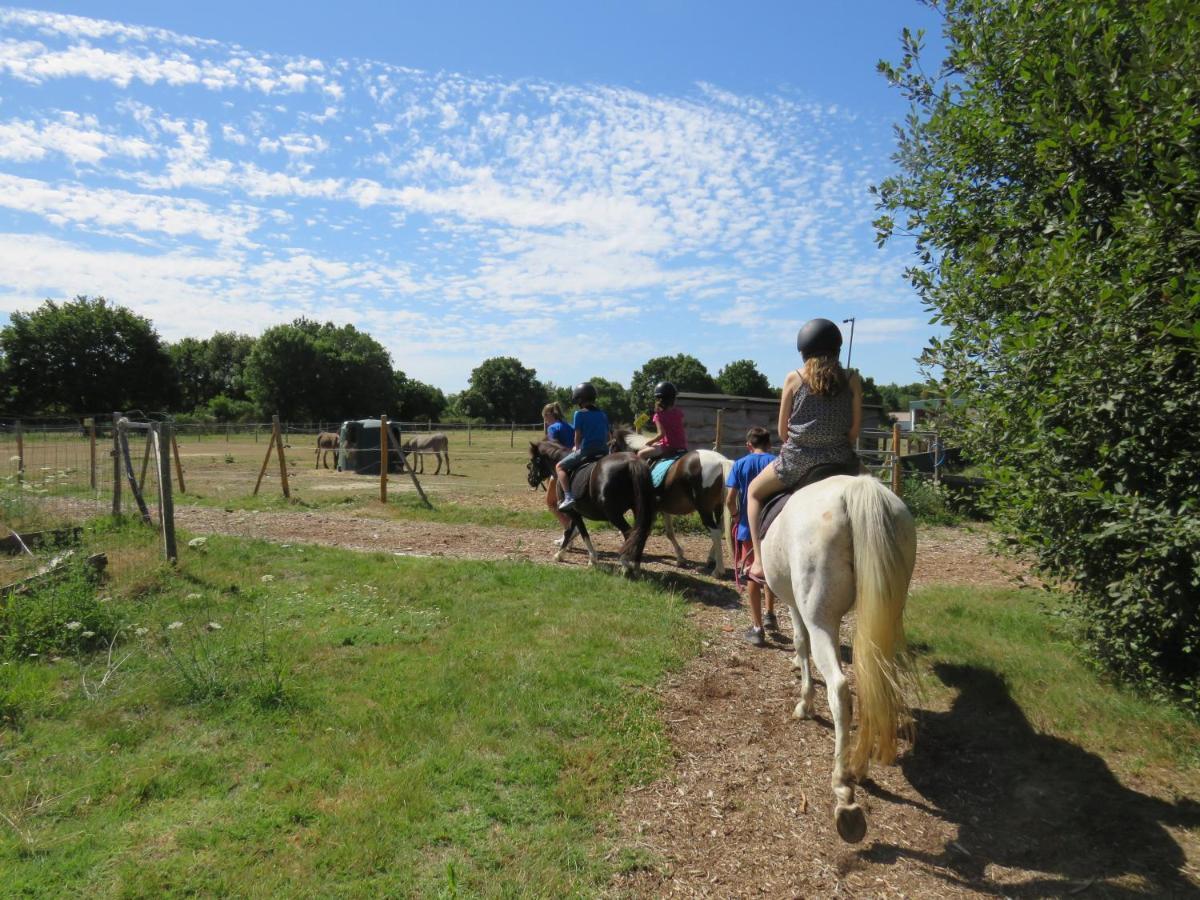 Camping Les P'Tites Maisons Dans La Prairie Sallertaine Buitenkant foto